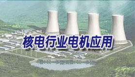 核电行业电机维护应用技术报告